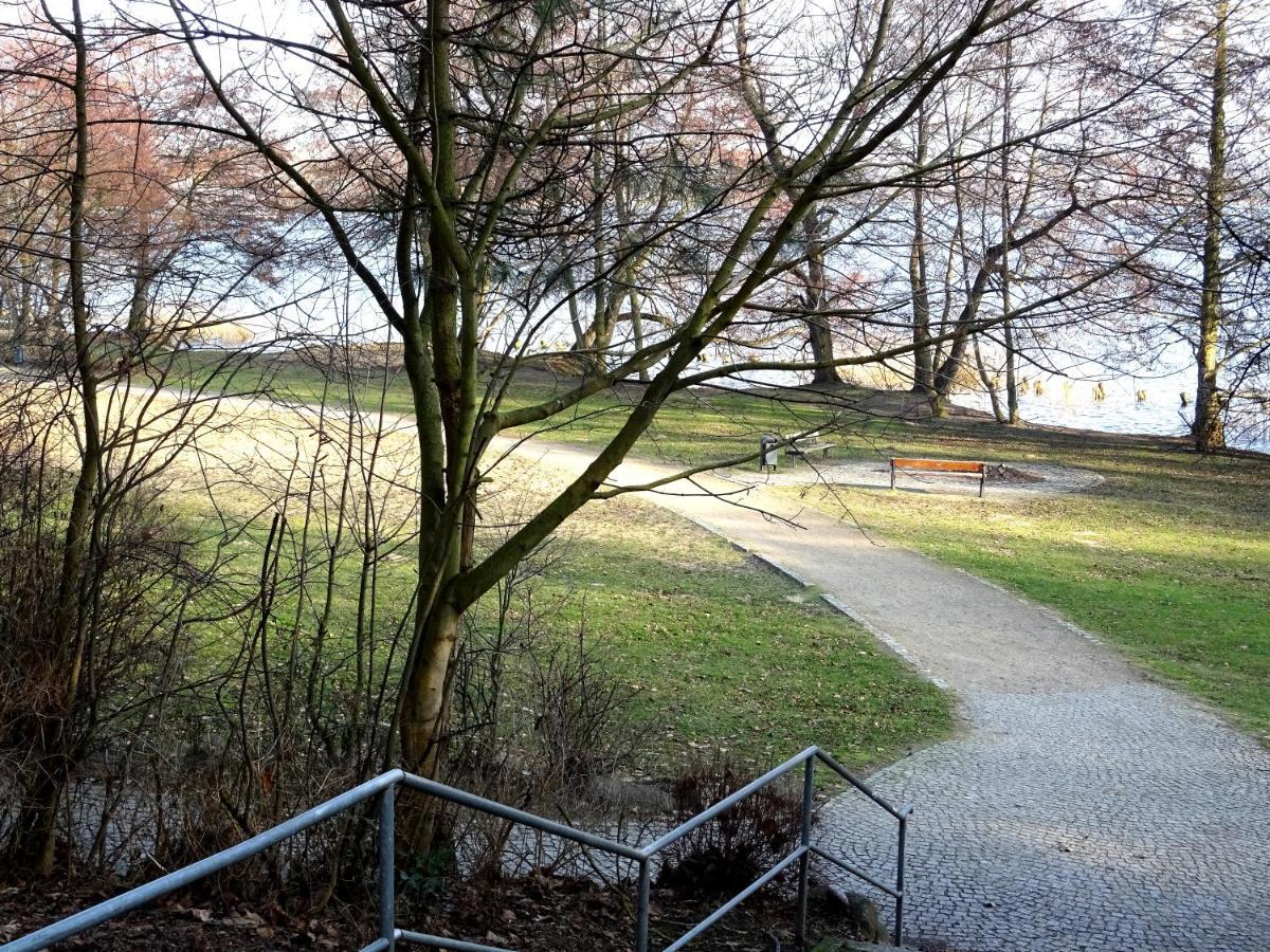 Neubrandenburg-wasser,natur,zentrum,ladestation Fuer E-autos *