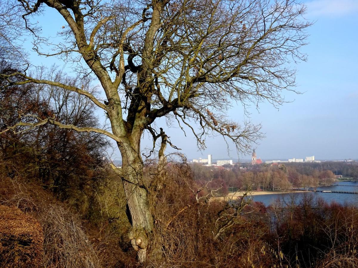 Apartment Neubrandenburg-wasser,natur,zentrum,ladestation Fuer E-autos *